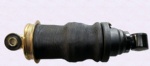 81.41722.6052 Air spring SHAANXI copy OEM PHOTO COLOR