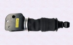 DZ14251440025 Air spring SHAANXI copy OEM PHOTO COLOR