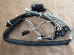 DZ95189772113 Door wiring harness SHAANXI copy OEM PHOTO COLOR