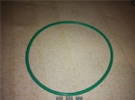 D02A-171-30A seal ring