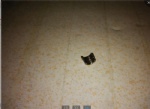 2A4429 Valve collet