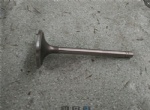 C04AL-6N9915 Intake valve