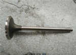 C04AL-6N9916 Exhaust valve