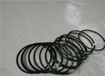 13022348-13022349-13022350 Piston ring