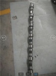 D09-101-40 Camshaft