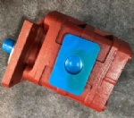 CBGj3125-803004137 Hydraulic pump