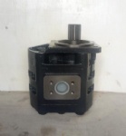 CBGJ3100-803004063 Hydraulic pump