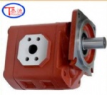 CBGJ2080H-803004104 Hydraulic pump