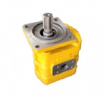 CBGJ2063R-803045250 Hydraulic pump