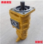 803013093 Hydraulic pump