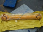 250100114 transmission shaft