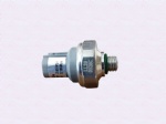 DZ13241821203Pressure switch