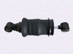 DZ16251444075Shock absorber
