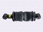 DZ16251444076Shock absorber