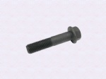 DZ90149320007Bolt