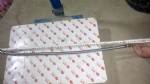 55511 trachea