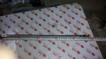 55521 trachea