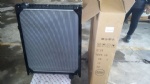 DZ95259532203 radiator