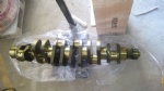 61800020022 crankshaft