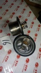 VG1047060002 thermostat