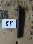 VG1246020010 Bolt