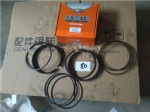 VG1540030022 Piston ring
