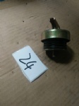 WG2600010489 Filler cap