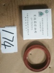 F91410 Primary shaft oil seal