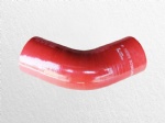 DZ98149535028sebific duct