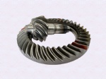 HD90129320868Pelvic horn tooth