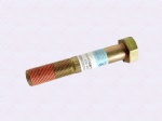 06.02839.0012Hexagon headed bolt
