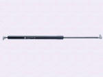 DZ16251110060 Gas spring assembly